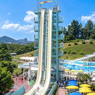 High Speed Water Slide Fiberglass Steep Drop Multi Lane Thrill Ride For Water Parks Custom Design